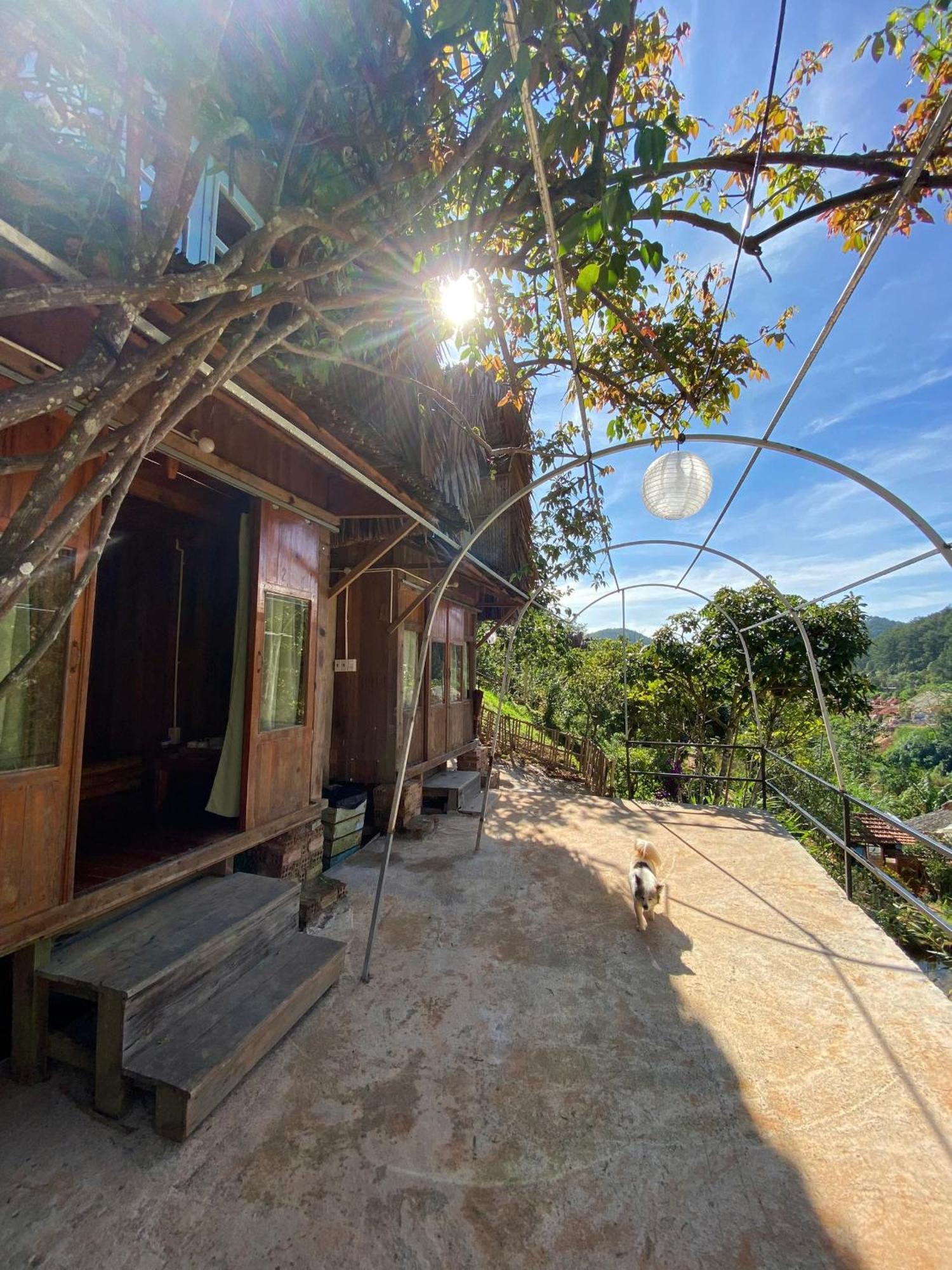 דה לאט Vuon Nha Cui Homestay מראה חיצוני תמונה
